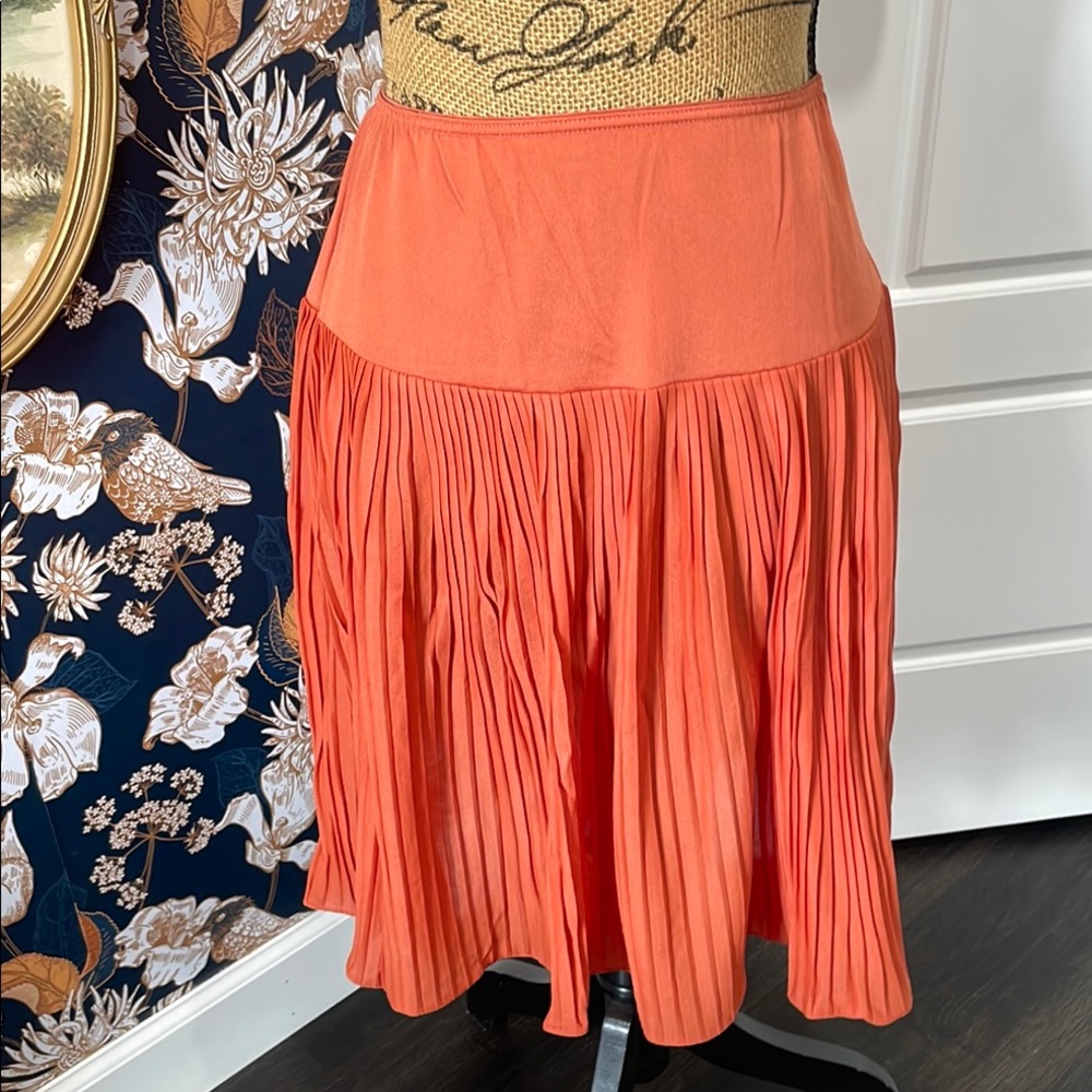 1960’s Van Raalte Vibrant Rust Orange Bubble Slip Skirt Pleated Resort Wear